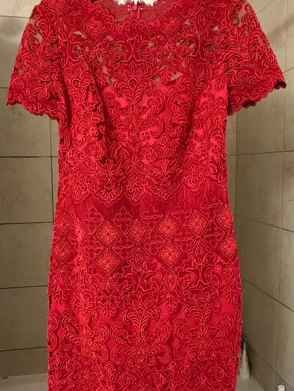 Tadashi Shoji corded lace dress